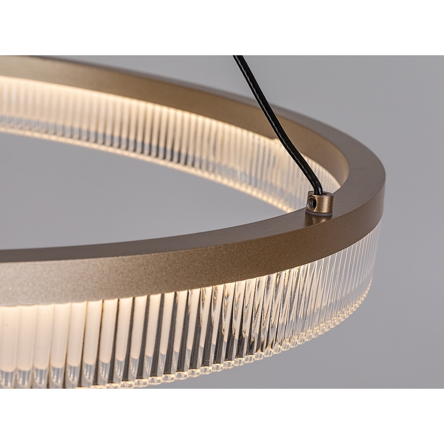 Rabalux - Lustre LED regulável suspenso por cabo LED/24W/230V 3000-6500K + comando remoto