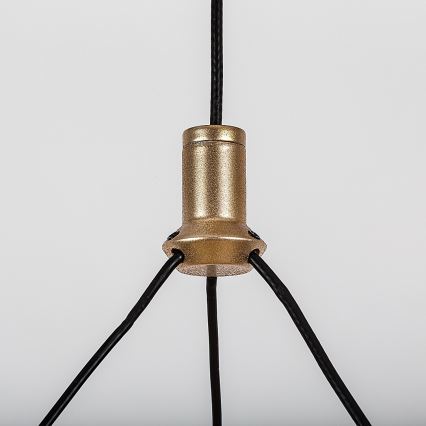 Rabalux - Lustre LED regulável suspenso por cabo LED/24W/230V 3000-6500K + comando remoto