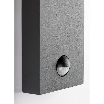 Rabalux - Candeeiro de parede exterior com sensor de movimento 1xE27/40W/230V IP44