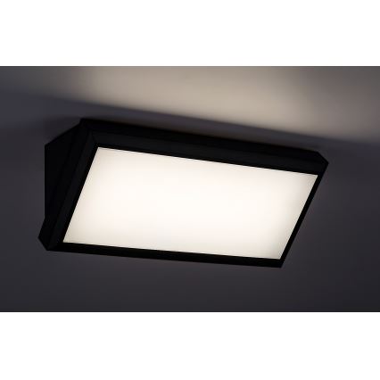 Rabalux - Luminária de parede LED para exterior LED/12W/230V IP54