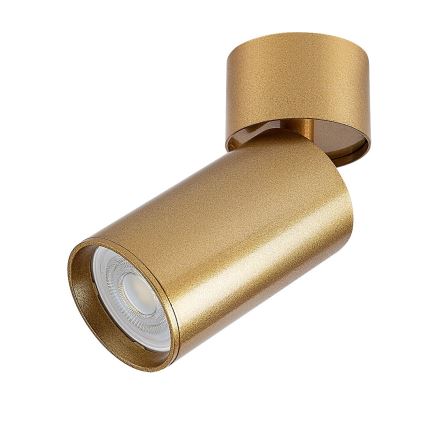 Rabalux - Foco 1xGU10/5W/230V dourado