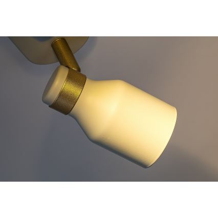 Rabalux - Candeeiro de focos 2xGU10/15W/230V