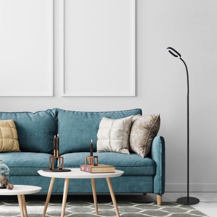 Rabalux - Lâmpada de pé LED tátil dimmerizável LED/11W/230V 3000K