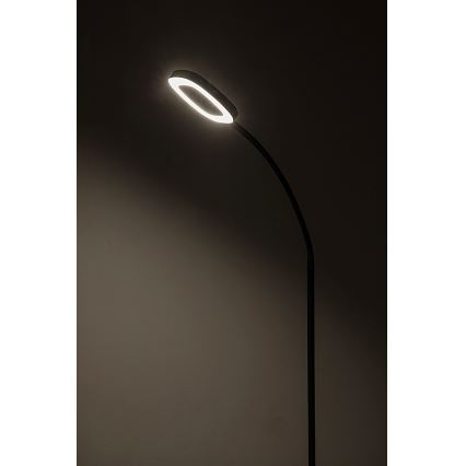 Rabalux - Lâmpada de pé LED tátil dimmerizável LED/11W/230V 3000K