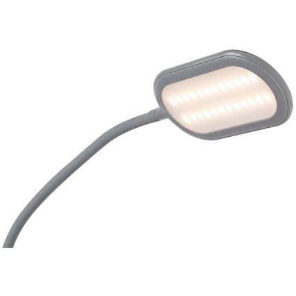 Rabalux - Lâmpada de pé LED tátil regulável LED/10W/230V 3000-6000K cinza