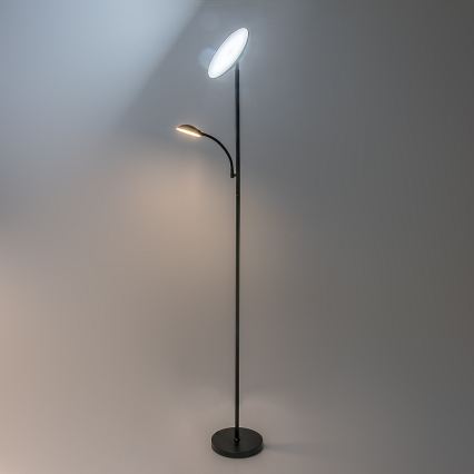 Rabalux - Candeeiro de pé LED regulável LED/23W/230V 3000/4200/6500 preto