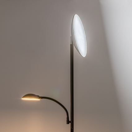 Rabalux - Candeeiro de pé LED regulável LED/23W/230V 3000/4200/6500 preto