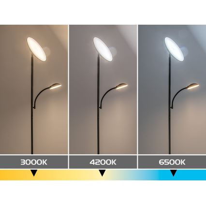 Rabalux - Candeeiro de pé LED regulável LED/23W/230V 3000/4200/6500 preto