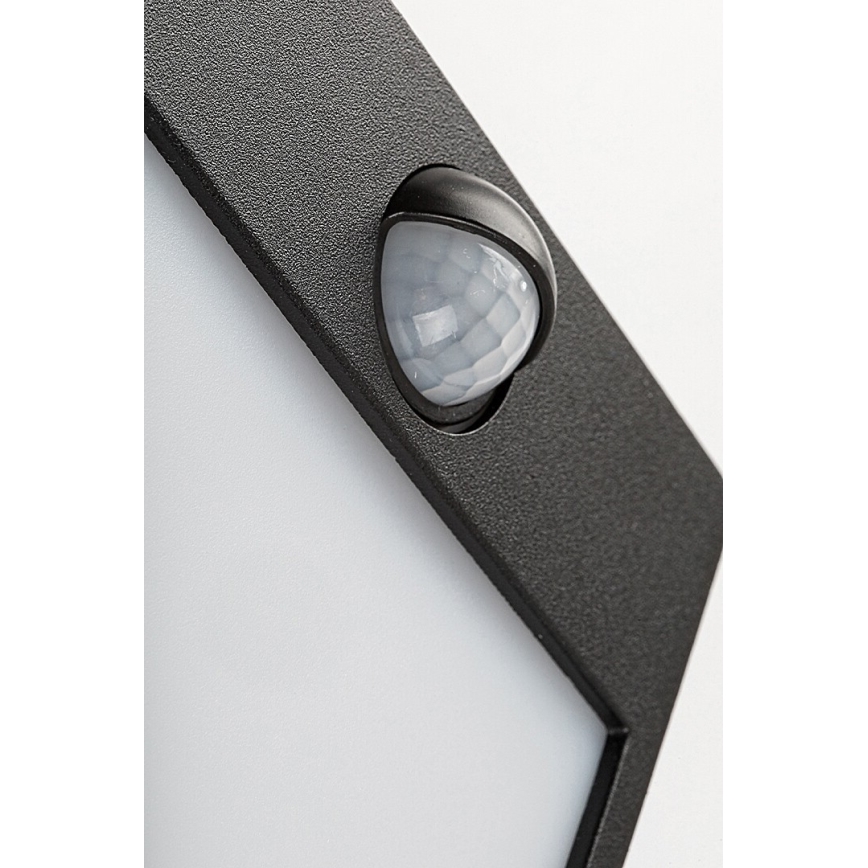 Rabalux - Iluminação de parede exterior LED com sensor LED/12W/230V IP54
