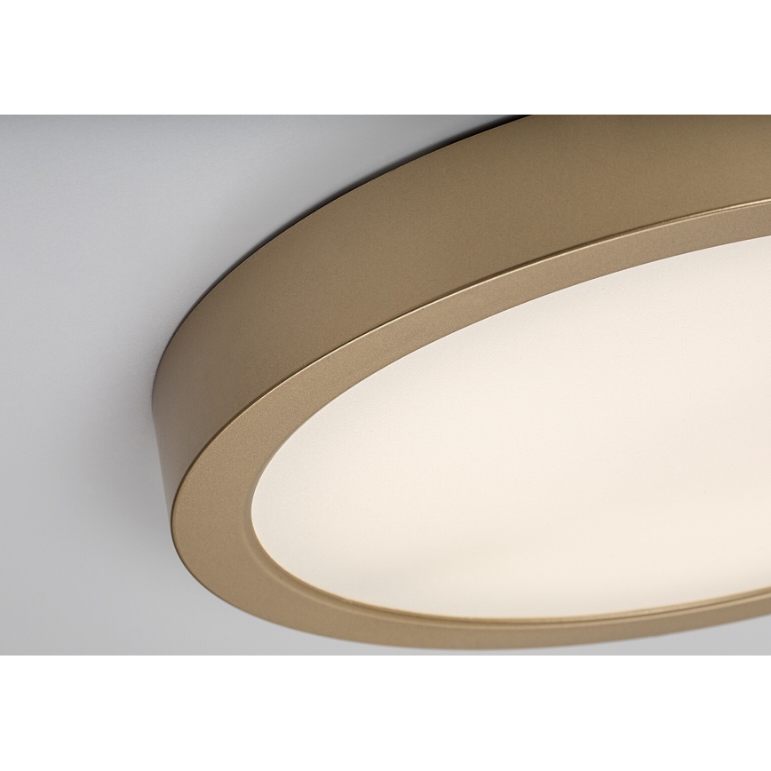 Rabalux - Candeeiro de teto LED para casa de banho, 30W/230V, Ø 30 cm, IP44, dourado