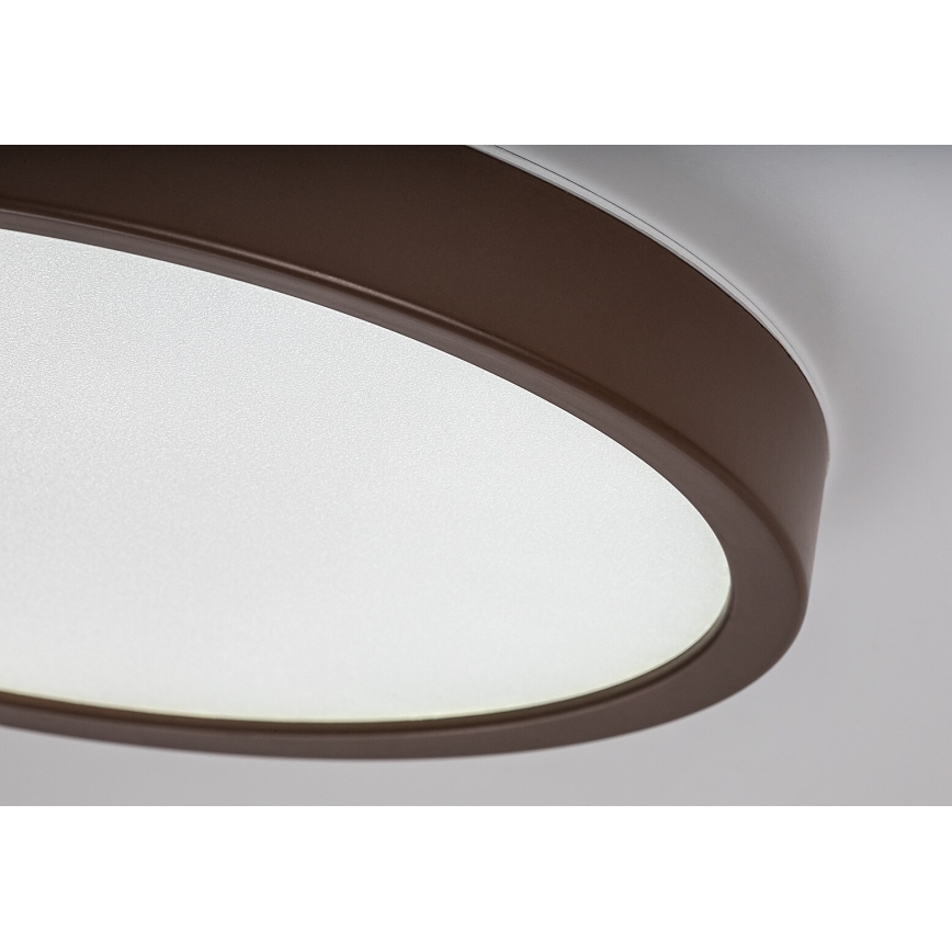 Rabalux - Candeeiro de tecto para casa de banho LED/18W/230V 3000/4000/6000K Ø 29 cm IP44 castanho