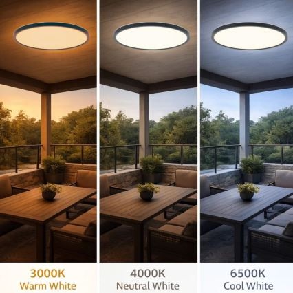 Rabalux - Candeeiro de tecto LED para casa de banho LED/24W/230V 3000/4000/6000K diâmetro 40 cm IP44 preto