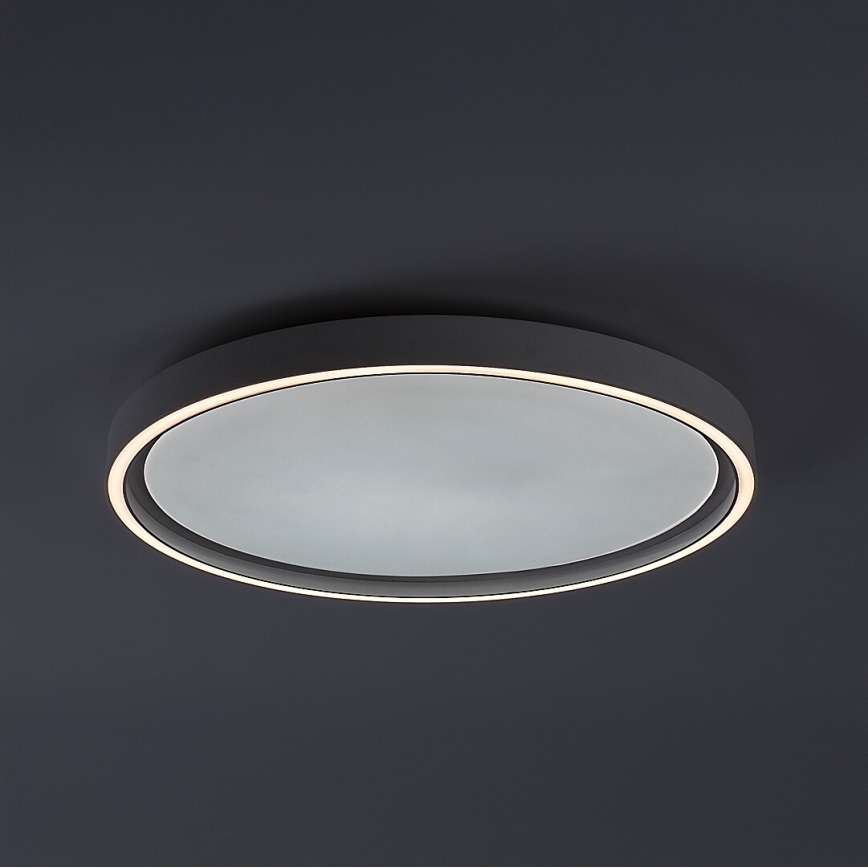 Rabalux - Candeeiro de tecto LED dimerizável LED/31W/230V IP40 3000-6500K diâmetro 41,5 cm + comando remoto