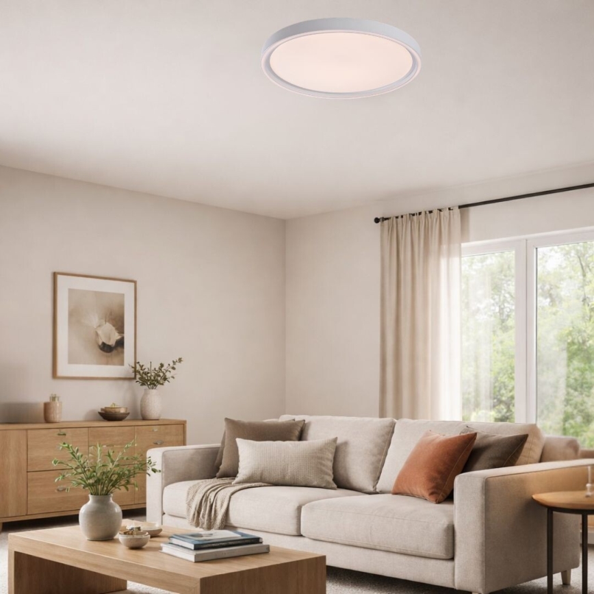 Rabalux - Luminária de teto LED dimerizável 54W/230V IP40 3000-6500K Ø 52 cm + controlo remoto