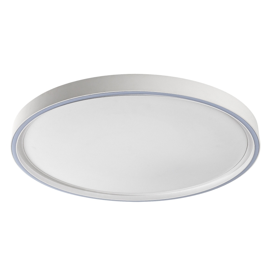 Rabalux - Luminária de teto LED dimerizável 54W/230V IP40 3000-6500K Ø 52 cm + controlo remoto