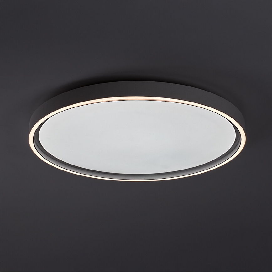 Rabalux - Luminária de teto LED dimerizável 54W/230V IP40 3000-6500K Ø 52 cm + controlo remoto