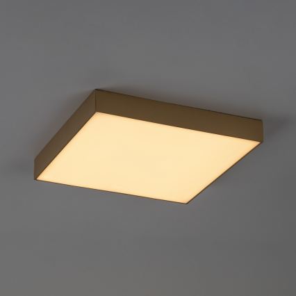 Rabalux - LED Candeeiro de tecto para casa de banho LED/24W/230V 2800/4000/6000K IP44