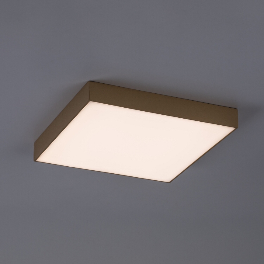 Rabalux - LED Candeeiro de tecto para casa de banho LED/24W/230V 2800/4000/6000K IP44