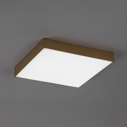 Rabalux - LED Candeeiro de tecto para casa de banho LED/24W/230V 2800/4000/6000K IP44