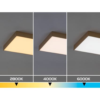 Rabalux - LED Candeeiro de tecto para casa de banho LED/24W/230V 2800/4000/6000K IP44