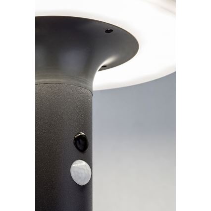 Rabalux - Iluminação solar LED com sensor LED/10W/3,7V IP44 2500 mAh