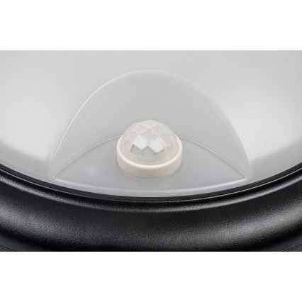 Rabalux - Iluminação de parede exterior LED com sensor LED/15W/230V IP54