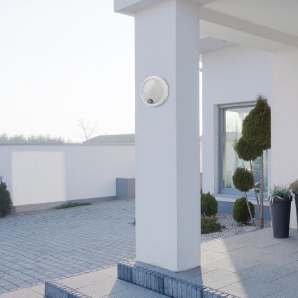 Rabalux - Luminária de parede LED exterior com sensor LED/15W/230V IP54