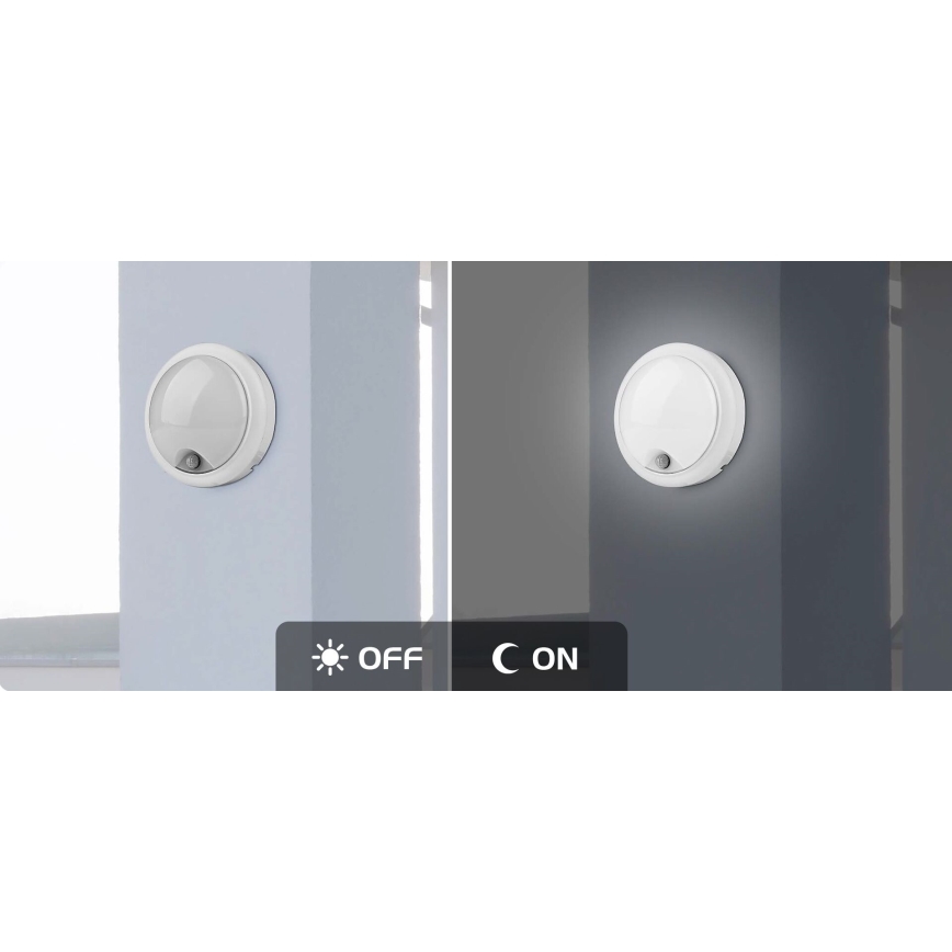 Rabalux - Luminária de parede LED exterior com sensor LED/15W/230V IP54