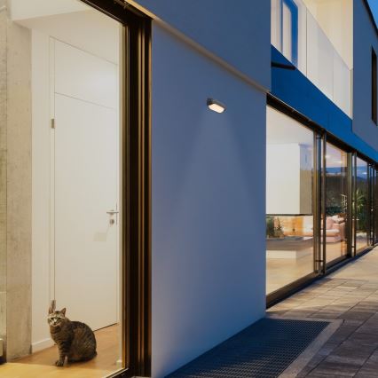 Rabalux - Candeeiro de parede exterior LED/13W/230V IP54 antracite