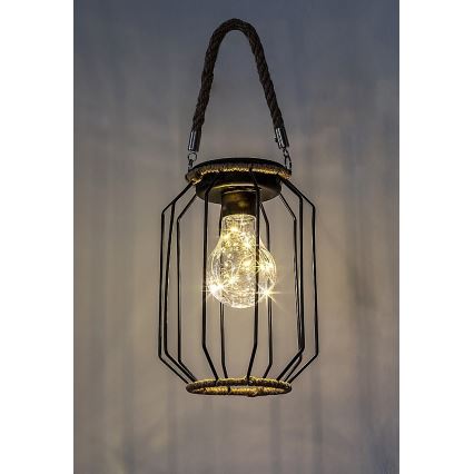 Rabalux - Luminária Solar LED LED/0,2W/1,2V IP44 600 mAh