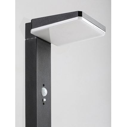 Rabalux - Lâmpada solar LED regulável para exterior com sensor, 4,4 W / 3,7 V, IP54, antracite, 2200 mAh