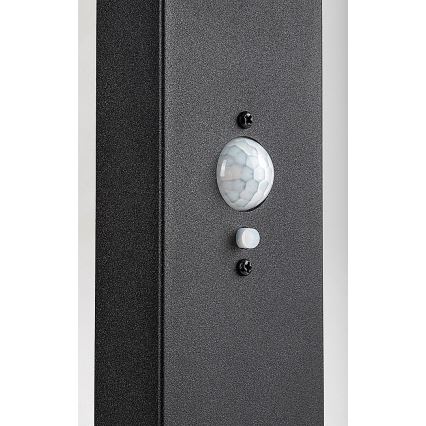 Rabalux - Lâmpada solar LED regulável para exterior com sensor, 4,4 W / 3,7 V, IP54, antracite, 2200 mAh