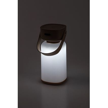 Rabalux - Candeeiro de mesa tátil LED para exterior com regulação LED/3W/5V IP44 castanho