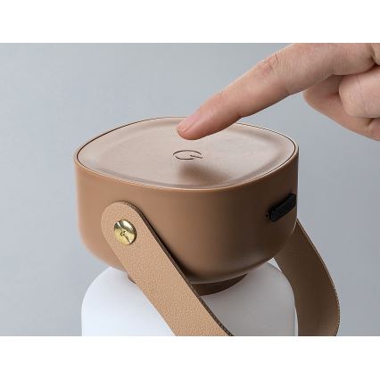 Rabalux - Candeeiro de mesa tátil LED para exterior com regulação LED/3W/5V IP44 castanho