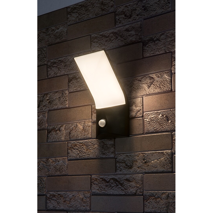 Rabalux - Luminária de parede LED para exterior com sensor LED/10W/230V IP54