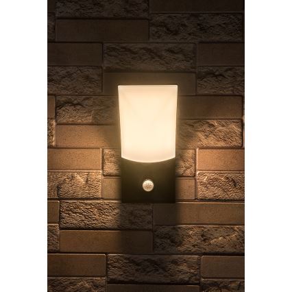 Rabalux - Luminária de parede LED para exterior com sensor LED/10W/230V IP54