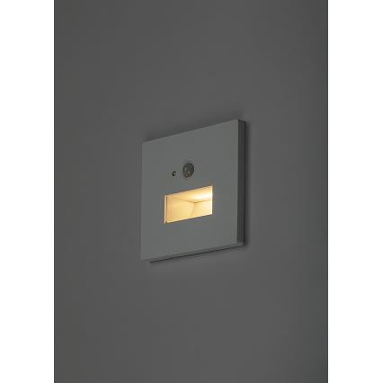 Rabalux - Candeeiro LED para escadas com sensor de movimento e sensor crepuscular LED/1W/230V 3000/4500/6500K branco