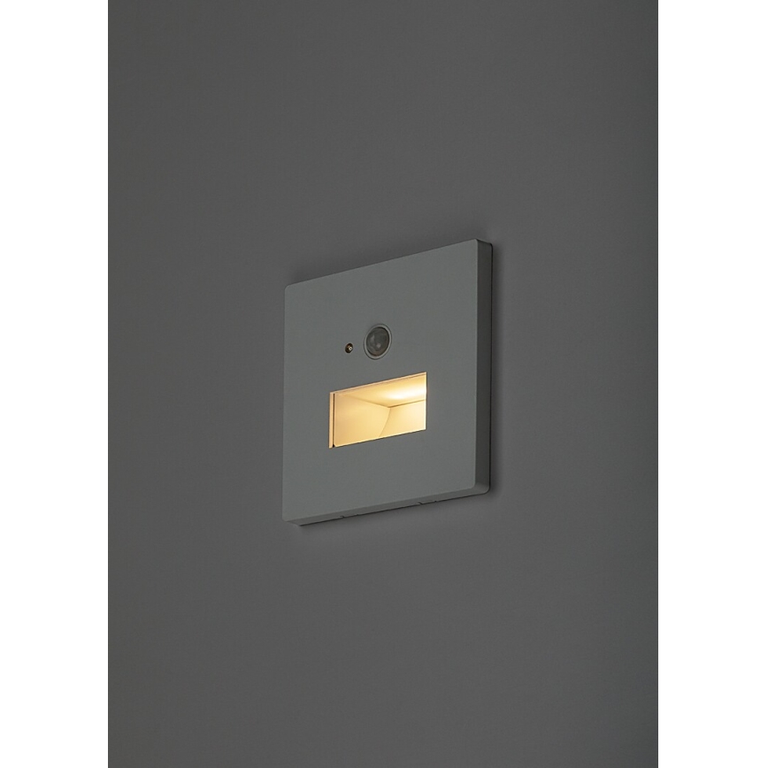 Rabalux - Candeeiro LED para escadas com sensor de movimento e sensor crepuscular LED/1W/230V 3000/4500/6500K branco
