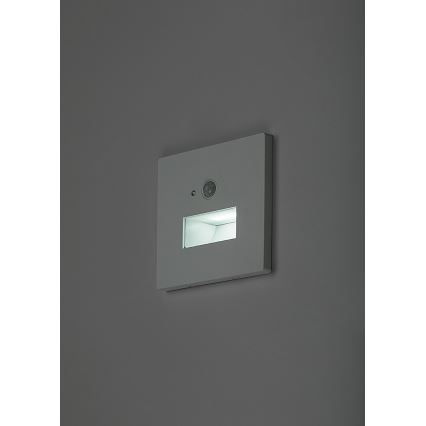 Rabalux - Candeeiro LED para escadas com sensor de movimento e sensor crepuscular LED/1W/230V 3000/4500/6500K branco