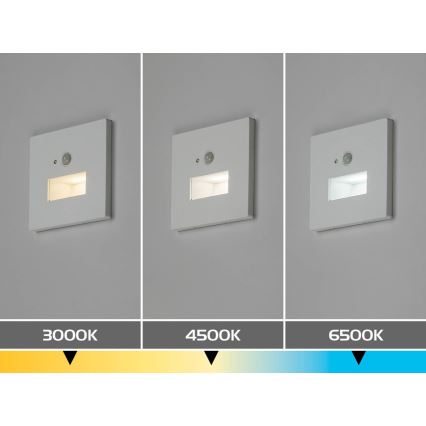 Rabalux - Candeeiro LED para escadas com sensor de movimento e sensor crepuscular LED/1W/230V 3000/4500/6500K branco