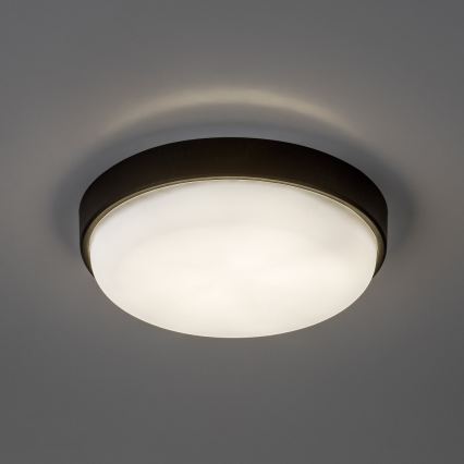 Rabalux - Candeeiro de tecto LED para exterior LED/14W/230V IP54 preto