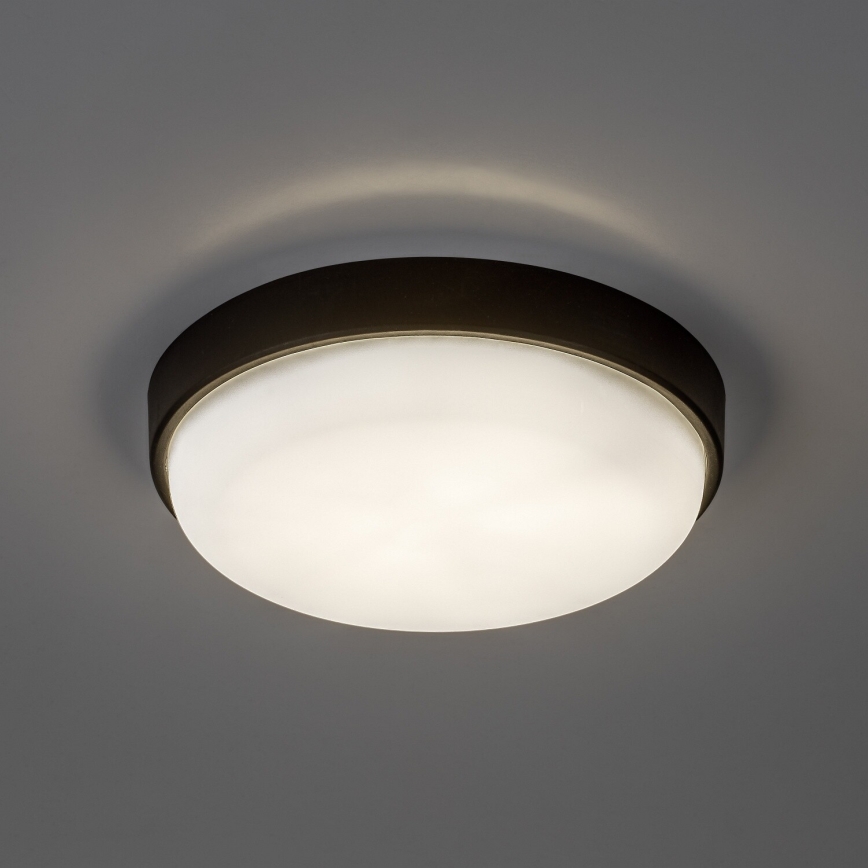 Rabalux - Candeeiro de tecto LED para exterior LED/14W/230V IP54 preto