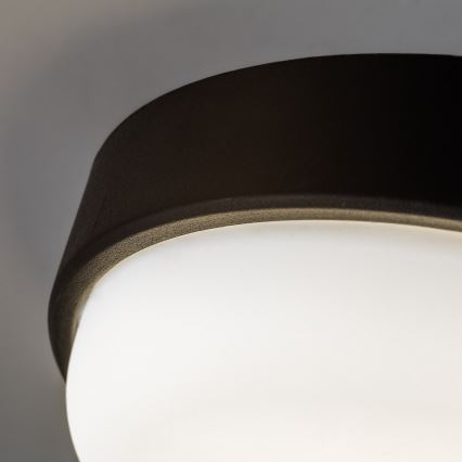 Rabalux - Candeeiro de tecto LED para exterior LED/14W/230V IP54 preto