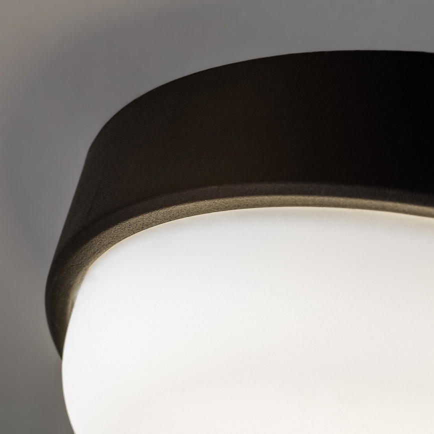 Rabalux - Candeeiro de tecto LED para exterior LED/14W/230V IP54 preto