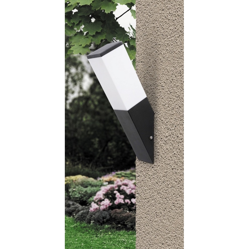 Rabalux - Luz de parede de exterior 1xE27/60W/230V IP44