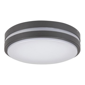 Rabalux 8847 - Luz de parede LED de exterior HAMBURG LED/10W/230V IP44