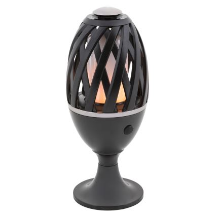 Rabalux - Luz de exterior LED LED/5W/com bateria recarregável USB IP65