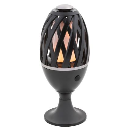 Rabalux - Luz de exterior LED LED/5W/com bateria recarregável USB IP65