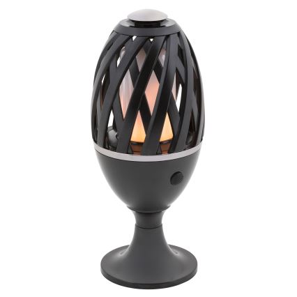 Rabalux - Luz de exterior LED LED/5W/com bateria recarregável USB IP65