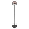 Rabalux - Candeeiro de chão LED com regulação LED/20W/230V 3000/4000/6000K